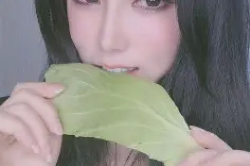 SBTI刷屏全网！黄晓明、苏醒等明星集体玩梗这场“不正经”测试凭什么火出圈？